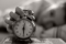 Timeover
